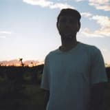 Cover pic of Novo Amor