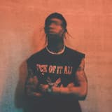 Cover pic of Travis Scott